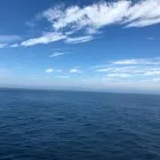 Rの画像