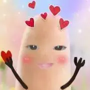 kiwiの画像