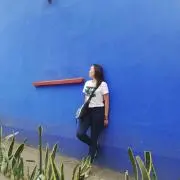 sharkの画像