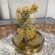 なおっちの画像