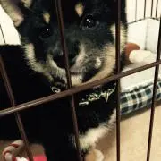 おもち☻   ⭐︎プロフ必読⭐︎の画像