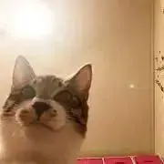 ゅいXXXX⚠︎注意事項あり⚠︎の画像