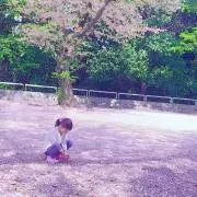 ゆみこの画像
