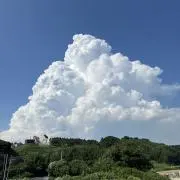 ナルディ 32.5パイ 刻印管理される前 当時物 ダメージあり 格安