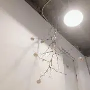 じゃがりんの画像