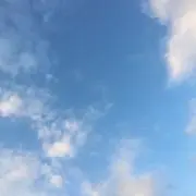 ぺんの画像