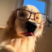 けけ