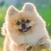 洋服倉庫@プロフィール必読