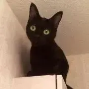 はる