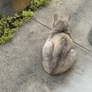 ナギサの画像