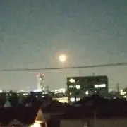 はせがわの画像