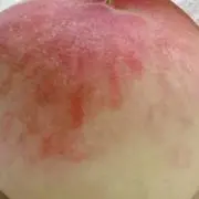 ロの画像