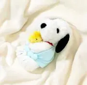 ぱるるの画像