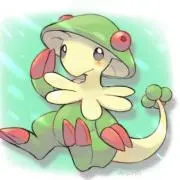 きのきの