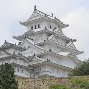 うまの画像