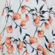 Akiraの画像