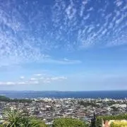 ぷーちゃんの画像