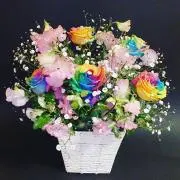 奏〜かなで〜の画像