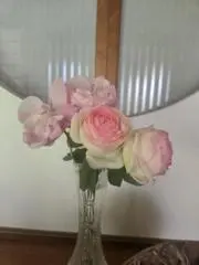 宮原琴美