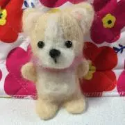 さゆりん