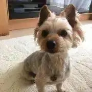 なーの画像