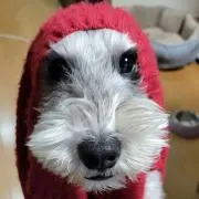 フミヤの画像