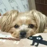 ゆう