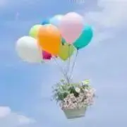 ポポ