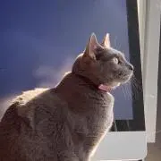 K☆