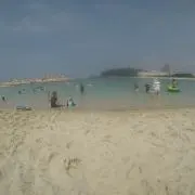 ミルクティ