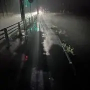 Rの画像