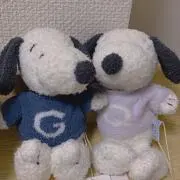 おちゃこの画像