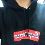ポンチケの画像