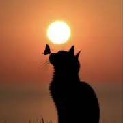 SSS