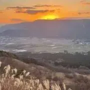 けんの画像