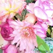 Mariaの画像