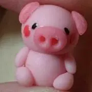 ぽんちゃん♡