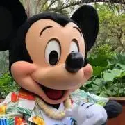 Yuk08yの画像