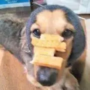 もんち