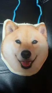 sonの画像