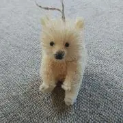 みずたまの画像