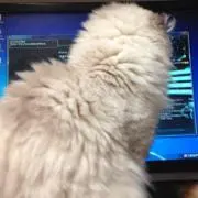 ゆの助の画像