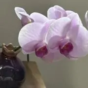 齋藤の画像