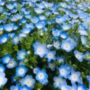 Minato  基本土日発送の画像