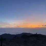 キムコの画像
