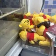 いの画像