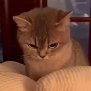 ♡の画像
