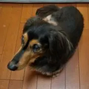 そら２００４