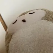 つくつくの画像