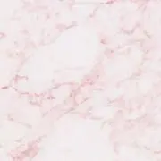 サラの画像